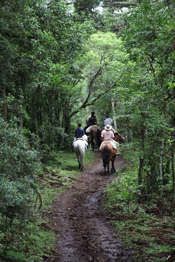 PASSEO A CAVALO
